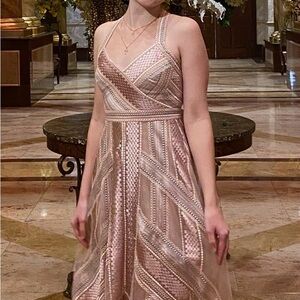 BCBGMaxAzria Blush Pink A-Line Midi Dress